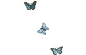 термотрансфер 3 бабочки 5*7,5см – товары для шитья дома купить в Веллтекс | Владикавказ
